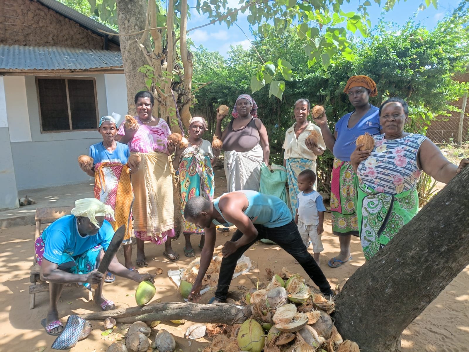 Mida–Majaoni Coastal Mangrove Ecosystem Conservation